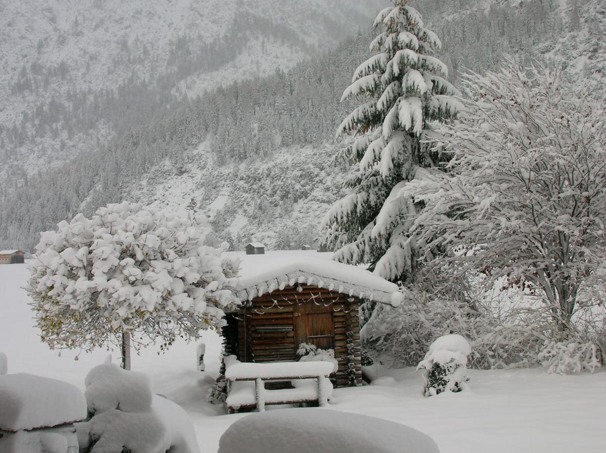 Appartement Gaestehaus Auer